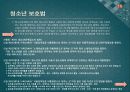소년법외의 소년관련법제 - 보호소년,청소년보호법,청소년복지지원법,청소년성보호에관한법률,소년관련법제.PPT자료 16페이지