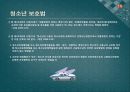 소년법외의 소년관련법제 - 보호소년,청소년보호법,청소년복지지원법,청소년성보호에관한법률,소년관련법제.PPT자료 19페이지