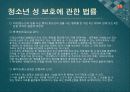 소년법외의 소년관련법제 - 보호소년,청소년보호법,청소년복지지원법,청소년성보호에관한법률,소년관련법제.PPT자료 35페이지