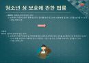 소년법외의 소년관련법제 - 보호소년,청소년보호법,청소년복지지원법,청소년성보호에관한법률,소년관련법제.PPT자료 43페이지