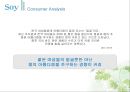 Say Re-naming Project - 세이,해피바이러스,마케팅전략사례,마케팅,브랜드,브랜드마케팅,기업,서비스마케팅,글로벌,경영,시장,사례,swot,stp,4p.PPT자료 28페이지