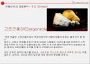 스페인,이탈리아,포루트갈,그리스음식문화,세계의음식문화,서양음식과문화,치즈,방문화 12페이지