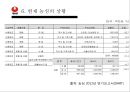 신라면마케팅전략,농심신라면,신라면분석,신라면해외진출,농심마케팅전략.농심해외마케팅 30페이지