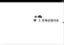 시장분석,도미노피자,경영전략사례,브랜드마케팅,서비스마케팅,글로벌경영,사례분석,swot,stp,4p 3페이지