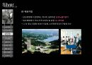 실버마케팅전략,실버마케팅,실버전략,실버,노인마케팅,노인마케팅전략 12페이지