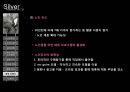 실버마케팅전략,실버마케팅,실버전략,실버,노인마케팅,노인마케팅전략 40페이지