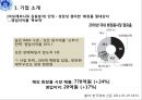 아모레퍼시픽,아모레퍼시픽마케팅전략,아모레퍼시픽 프랑스마케팅전략,롤리타렘피카 11페이지