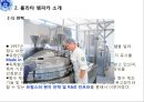 아모레퍼시픽,아모레퍼시픽마케팅전략,아모레퍼시픽 프랑스마케팅전략,롤리타렘피카 13페이지