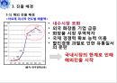 아모레퍼시픽,아모레퍼시픽마케팅전략,아모레퍼시픽 프랑스마케팅전략,롤리타렘피카 16페이지