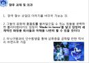아모레퍼시픽,아모레퍼시픽마케팅전략,아모레퍼시픽 프랑스마케팅전략,롤리타렘피카 33페이지