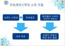 아모레퍼시픽,아모레퍼시픽마케팅전략,아모레퍼시픽기업분석,Amore Pacific,Amore Pacific마케팅전략 22페이지