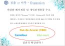 아모레퍼시픽,아모레퍼시픽마케팅전략,아모레퍼시픽기업분석,Amore Pacific,Amore Pacific마케팅전략 30페이지