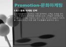 아시아나항공,아시아나항공마케팅전략,아시아나항공기업분석,항공사분석,항공사마케팅전략 36페이지