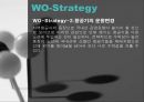 아시아나항공,아시아나항공마케팅전략,아시아나항공기업분석,항공사분석,항공사마케팅전략 69페이지