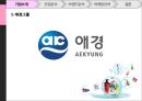 애경그룹,샴푸시장,캐라시스,생활용품산업,브랜드마케팅,서비스마케팅,글로벌경영,사례분석,swot,stp,4p 4페이지