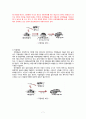 영화 산업의 유통, 극장유통(배급), HDD영화의 배급,영화산업,영화시장분석,비디오,dvd,케이블 7페이지