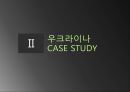우크라이나건강시스템,건강시스템사례,Six Building Blocks,보건경제학 7페이지