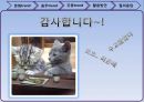 음주문화,주류문화,문화트렌드,음주트렌드,주류트렌드 34페이지