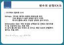 의사결정트리를 통한 자동차산업의 구매 패턴 분류,의사결정트리,데이터마이닝,CRM 17페이지