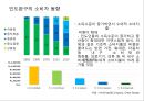 인도시장마케팅전략.해외시장마케팅전략,완구시장마케팅,인도완구시장마케팅,오로라월드마케팅전략,오로라월드인도진출 13페이지