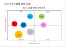 인도시장마케팅전략.해외시장마케팅전략,완구시장마케팅,인도완구시장마케팅,오로라월드마케팅전략,오로라월드인도진출 16페이지