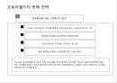 인도시장마케팅전략.해외시장마케팅전략,완구시장마케팅,인도완구시장마케팅,오로라월드마케팅전략,오로라월드인도진출 35페이지