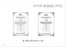 전기자전거환경분석,전기자전거마케팅전략,전지자전거분석 8페이지