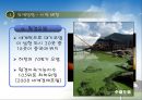 중국의 비즈니스 모델-바이오,에너지절약,신재생,환경보존 11페이지