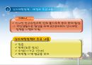 중국의 비즈니스 모델-바이오,에너지절약,신재생,환경보존 26페이지