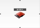 중동시장마케팅전략,국제마케팅전략,중동문화마케팅,중동마케팅전략 3페이지