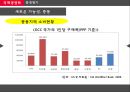 중동시장마케팅전략,국제마케팅전략,중동문화마케팅,중동마케팅전략 8페이지