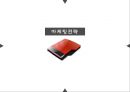 중동시장마케팅전략,국제마케팅전략,중동문화마케팅,중동마케팅전략 40페이지