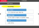 중동시장마케팅전략,국제마케팅전략,중동문화마케팅,중동마케팅전략 45페이지