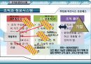조직과 정보시스템,정보시스템과조직,경영이슈,경쟁우의달성을위한 정보시스템.PPT자료 8페이지