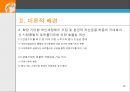 국민연금개혁방안 연구-연금 시스템의 개인구좌제도 도입 19페이지