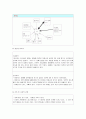 독거노인 사례관리 보고서(종합사회복지관) 4페이지