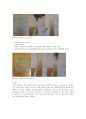 [생명과학과] Preparation of Culture Media : 미생물의 배지를 만들어보고 미생물을 직접 배양해봄으로서 미생물에 대한 이해를 높인다. 4페이지