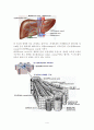 간절제술(liver lobectomy)술기 및 수술간호 4페이지