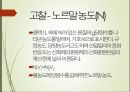 중화적정 12페이지