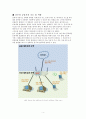 유무선공유기 (wifi) 4페이지