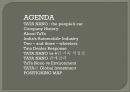 [국제경영 타타나노]Marketing Case Study TaTa Nano v1.0 2페이지