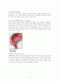 치질(Hemorroid) 10페이지