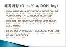 단일 문자 치환 암호 기법 8페이지