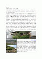 세계지리 - 동아시아 도시를 사례로 지리적 현상[특성]에 대한 고찰 2페이지