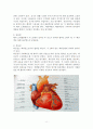 관상동맥우회술(CABG) 6페이지