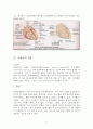 관상동맥우회술(CABG) 9페이지