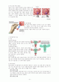 자궁경부암완성 (1) 10페이지
