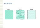 반도체와 초전도체 7페이지