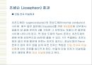 반도체와 초전도체 28페이지