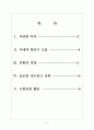 [대한항공기업분석]대한항공 성공요인분석 보고서 2페이지